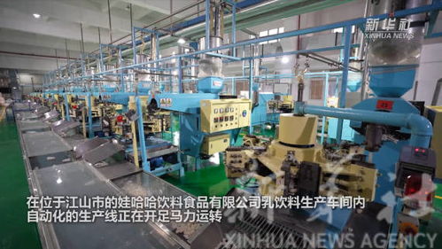 奮斗正當時 浙江信息技術咨詢服務企業新春開工忙，蓄力數字新程